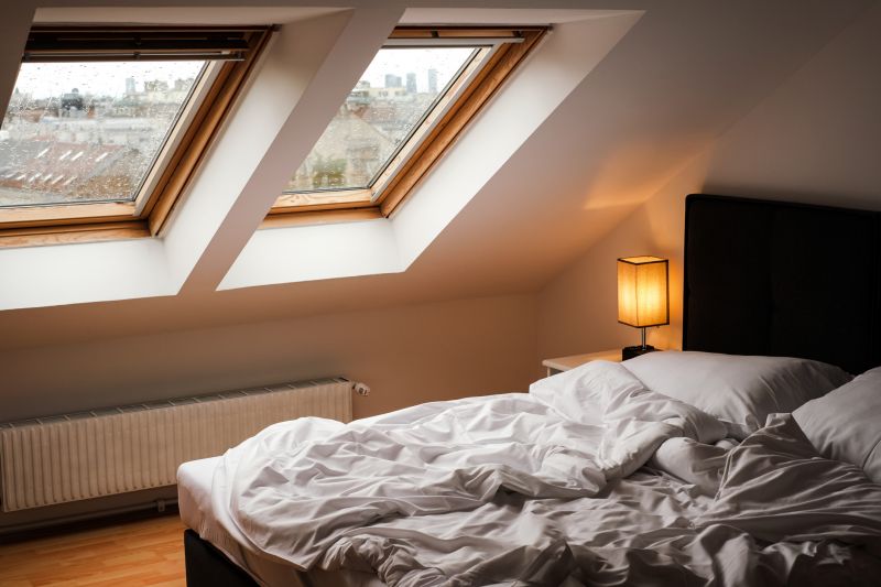 Products For Skylight Coatings in use
